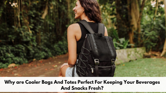 Why are Cooler Bags And Totes Perfect For Keeping Your Beverages And Snacks Fresh?